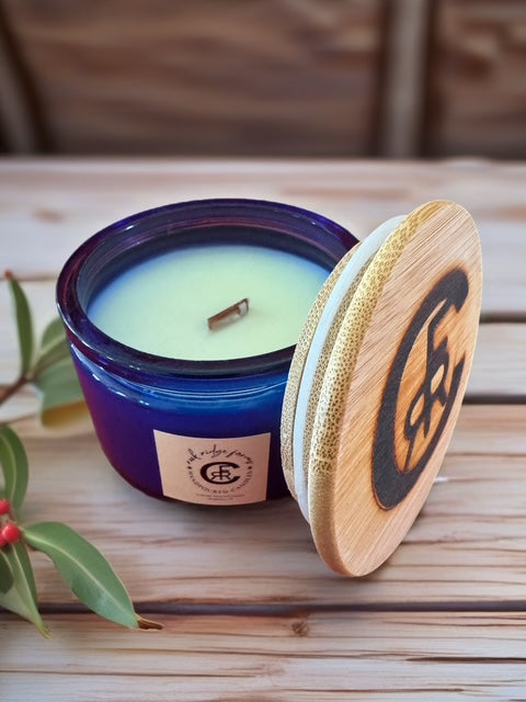 Maui Memories 3.5oz Candle - Summer Fragrance Collection