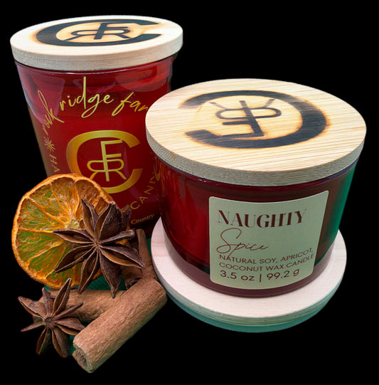 Naughty Spice - 3.5 oz Candle - Fall 2026 Collection